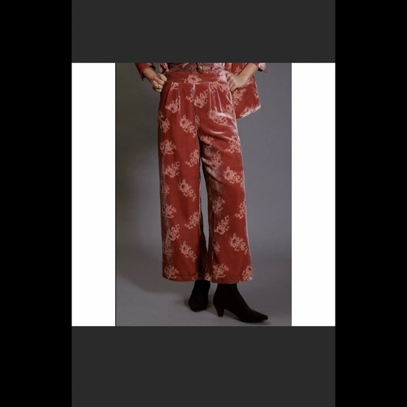 Anthropologie HUTCH Velvet Floral Pants size S - Picture 3 of 4